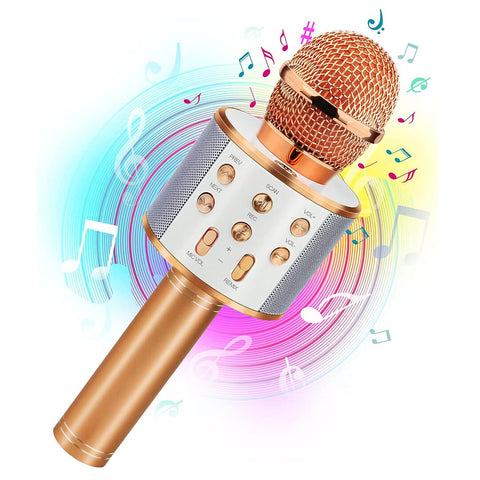 Wireless Microphone Hifi Speaker