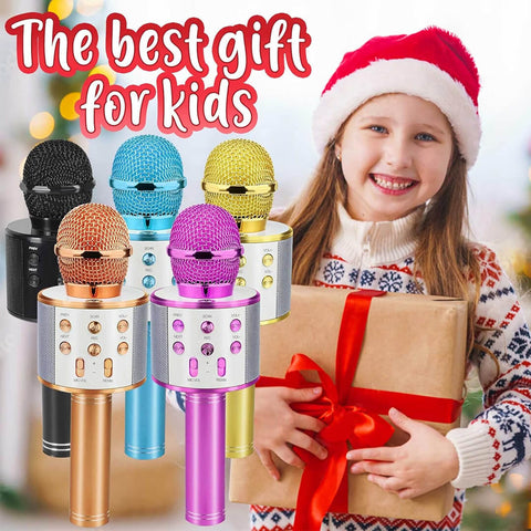 Wireless Microphone Hifi Speaker