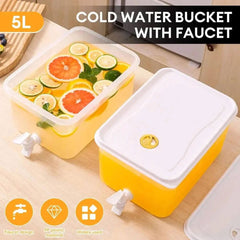 5 Litre Juice And Beverage Dispenser