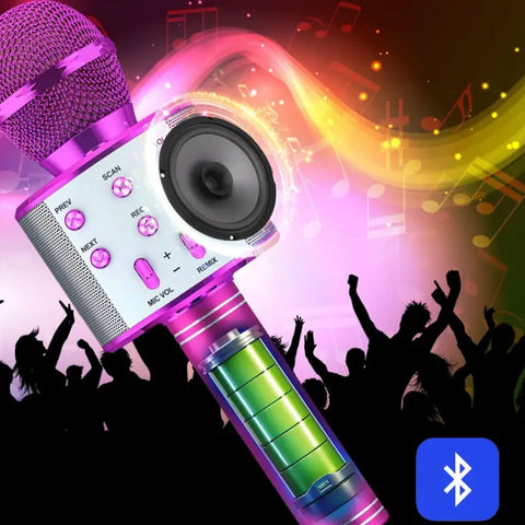 Wireless Microphone Hifi Speaker