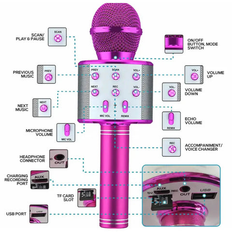 Wireless Microphone Hifi Speaker