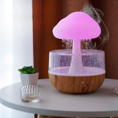 Rain Cloud Humidifier