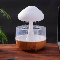 Rain Cloud Humidifier