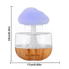 Rain Cloud Humidifier